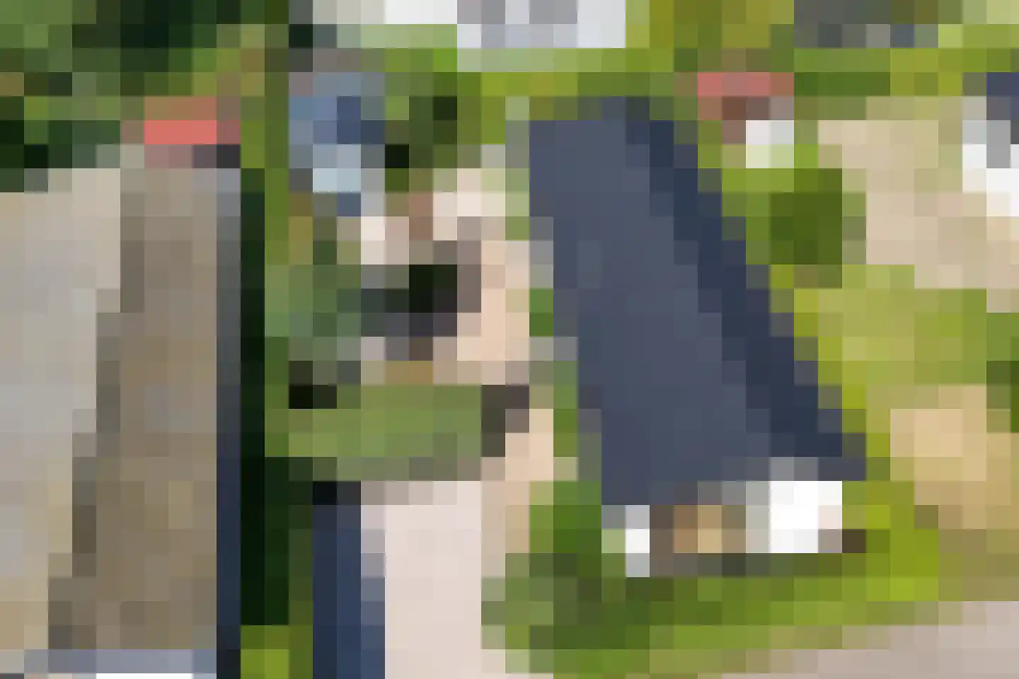 Driehuizerweg 8 171 Egmond aan den Hoef thumbnail 9