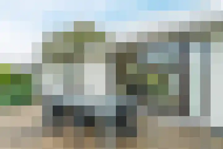 Driehuizerweg 8 236 Egmond aan den Hoef thumbnail 20