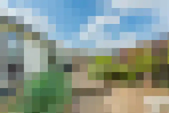 Driehuizerweg 8 236 Egmond aan den Hoef thumbnail 21