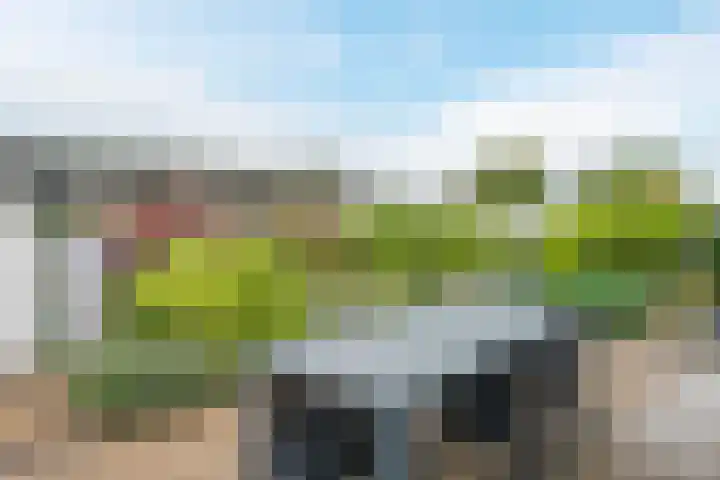 Driehuizerweg 8 236 Egmond aan den Hoef thumbnail 22