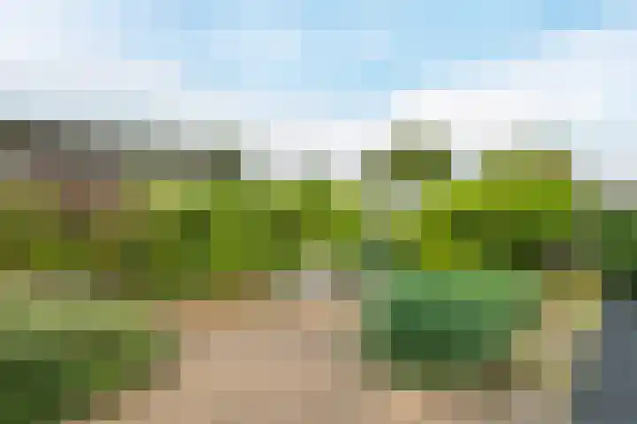 Driehuizerweg 8 236 Egmond aan den Hoef thumbnail 23