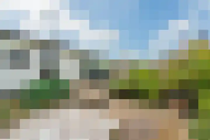 Driehuizerweg 8 236 Egmond aan den Hoef thumbnail 25