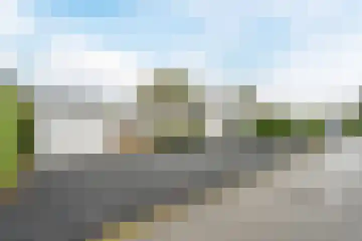 Driehuizerweg 8 236 Egmond aan den Hoef thumbnail 29