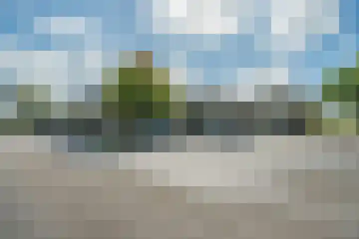 Driehuizerweg 8 236 Egmond aan den Hoef thumbnail 30