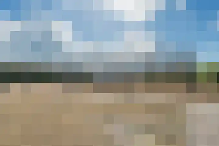 Driehuizerweg 8 236 Egmond aan den Hoef thumbnail 31