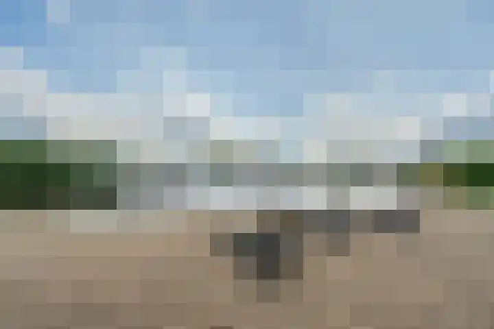 Driehuizerweg 8 236 Egmond aan den Hoef thumbnail 32