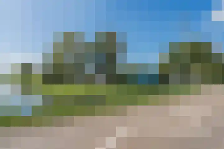 Driehuizerweg 8 236 Egmond aan den Hoef thumbnail 33