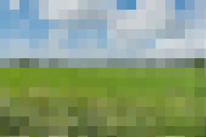 Driehuizerweg 8 236 Egmond aan den Hoef thumbnail 34