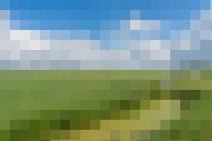 Driehuizerweg 8 236 Egmond aan den Hoef thumbnail 35