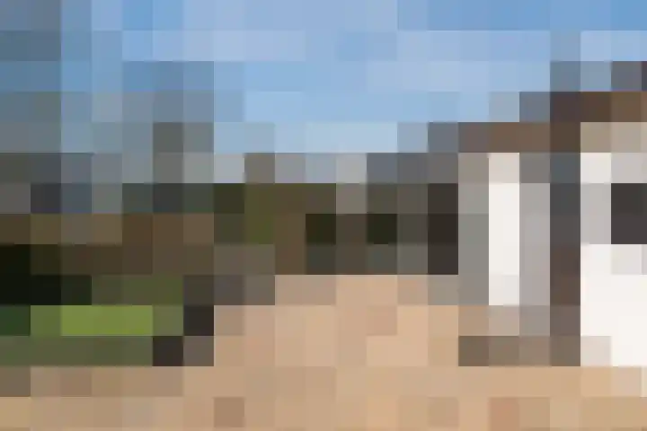 Driehuizerweg 8 245 Egmond aan den Hoef thumbnail 19