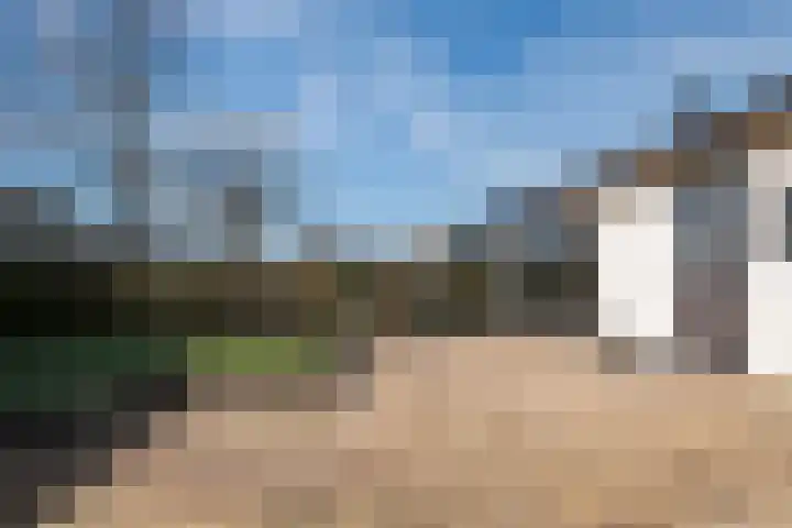 Driehuizerweg 8 245 Egmond aan den Hoef thumbnail 20