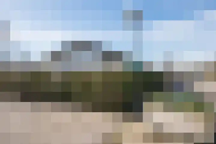 Driehuizerweg 8 245 Egmond aan den Hoef thumbnail 26
