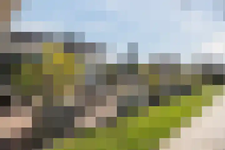 Driehuizerweg 8 245 Egmond aan den Hoef thumbnail 28