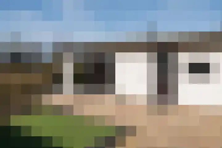 Driehuizerweg 8 245 Egmond aan den Hoef thumbnail 5