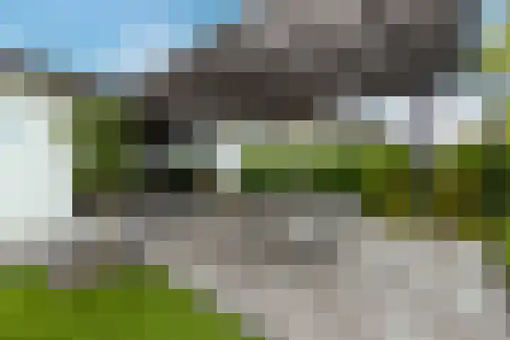 Driehuizerweg 8 250 Egmond aan den Hoef thumbnail 26
