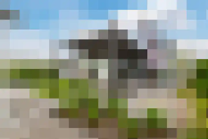 Driehuizerweg 8 250 Egmond aan den Hoef thumbnail 27