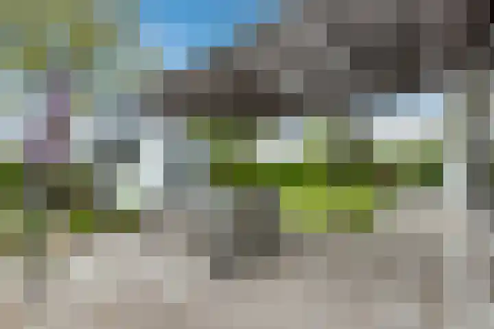 Driehuizerweg 8 250 Egmond aan den Hoef thumbnail 28