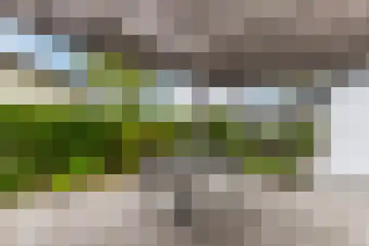 Driehuizerweg 8 250 Egmond aan den Hoef thumbnail 29