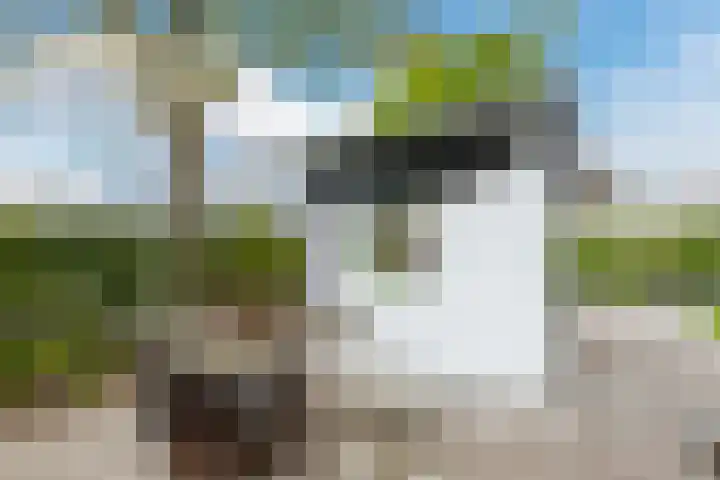 Driehuizerweg 8 250 Egmond aan den Hoef thumbnail 32