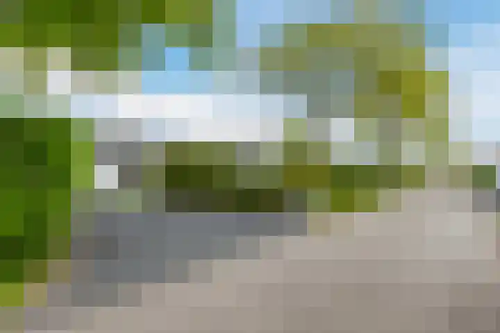 Driehuizerweg 8 250 Egmond aan den Hoef thumbnail 34
