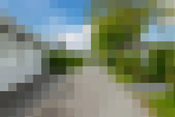 Driehuizerweg 8 250 Egmond aan den Hoef thumbnail 35