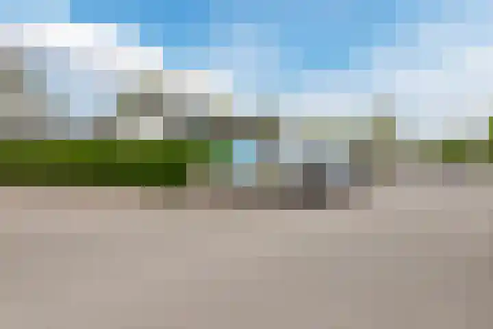 Driehuizerweg 8 250 Egmond aan den Hoef thumbnail 36