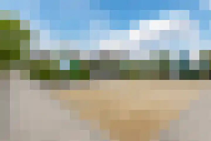 Driehuizerweg 8 250 Egmond aan den Hoef thumbnail 37