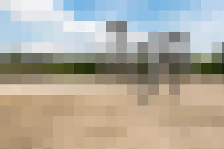 Driehuizerweg 8 250 Egmond aan den Hoef thumbnail 39