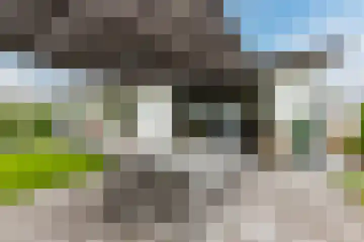 Driehuizerweg 8 250 Egmond aan den Hoef thumbnail 4