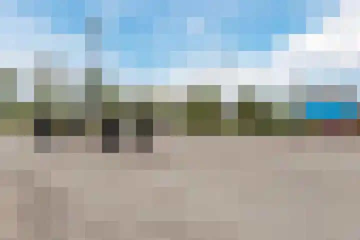 Driehuizerweg 8 250 Egmond aan den Hoef thumbnail 45