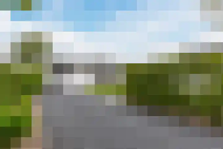 Driehuizerweg 8 250 Egmond aan den Hoef thumbnail 5