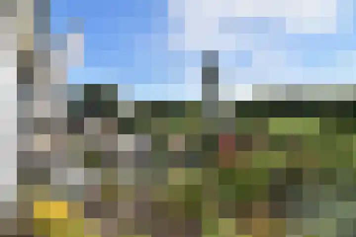 Driehuizerweg 8 280 Egmond aan den Hoef thumbnail 11