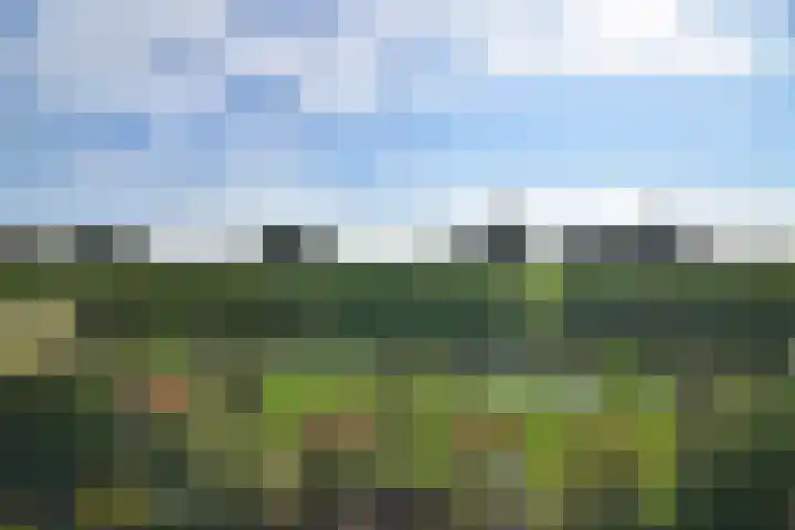 Driehuizerweg 8 280 Egmond aan den Hoef thumbnail 17