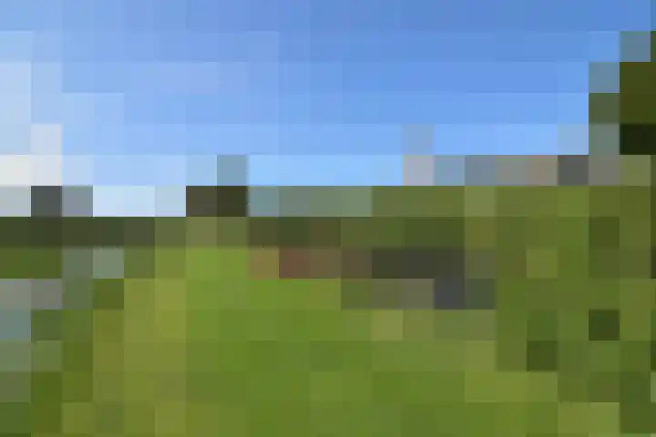 Driehuizerweg 8 280 Egmond aan den Hoef thumbnail 18