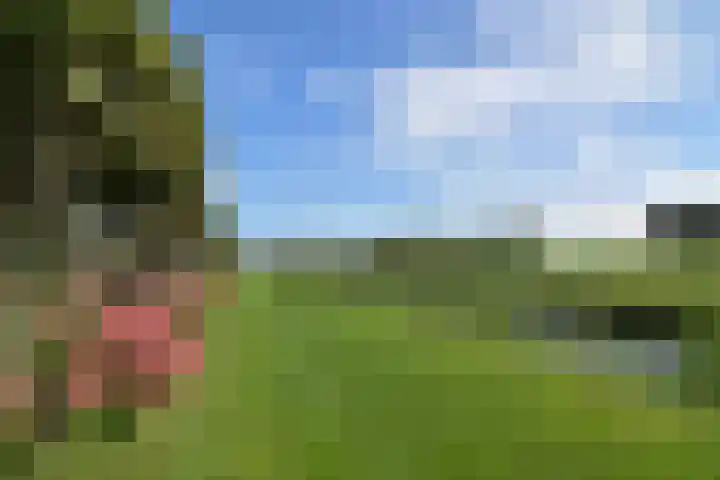 Driehuizerweg 8 280 Egmond aan den Hoef thumbnail 19