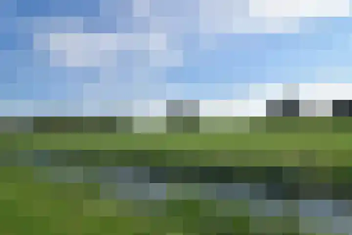 Driehuizerweg 8 280 Egmond aan den Hoef thumbnail 20