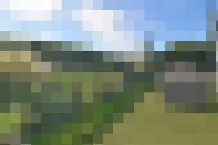 Driehuizerweg 8 280 Egmond aan den Hoef thumbnail 21