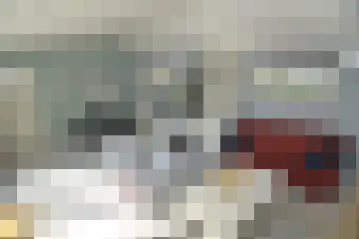 Driehuizerweg 8 280 Egmond aan den Hoef thumbnail 23