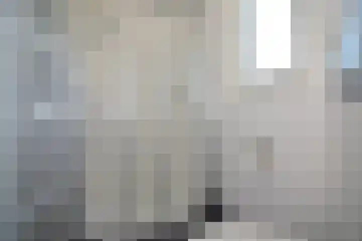 Driehuizerweg 8 280 Egmond aan den Hoef thumbnail 30