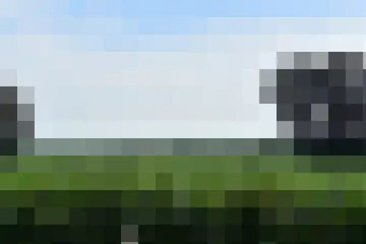 Driehuizerweg 8 280 Egmond aan den Hoef thumbnail 37