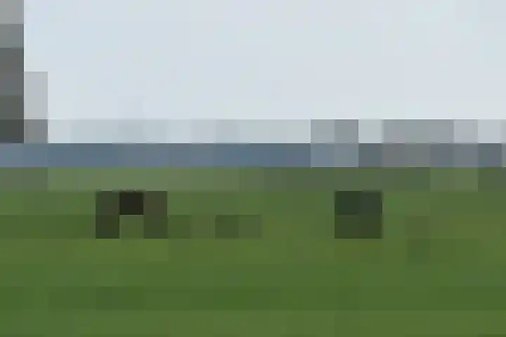 Driehuizerweg 8 280 Egmond aan den Hoef thumbnail 38