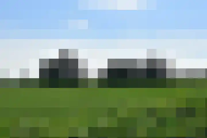 Driehuizerweg 8 280 Egmond aan den Hoef thumbnail 39
