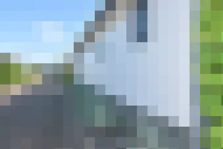 Driehuizerweg 8 280 Egmond aan den Hoef thumbnail 5