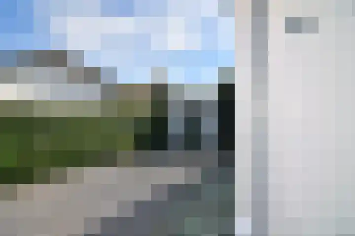 Driehuizerweg 8 280 Egmond aan den Hoef thumbnail 6
