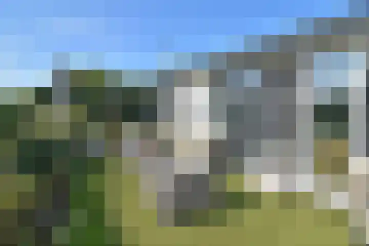 Driehuizerweg 8 280 Egmond aan den Hoef thumbnail 8
