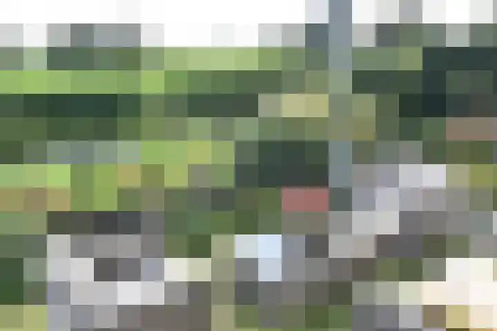 Driehuizerweg 8 280 Egmond aan den Hoef thumbnail 9