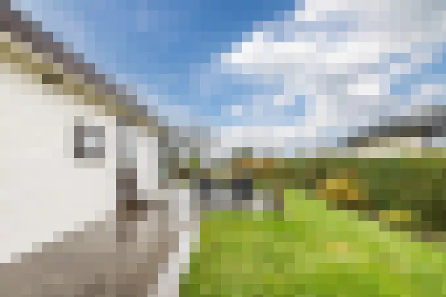 Driehuizerweg 8 286 Egmond aan den Hoef thumbnail 20