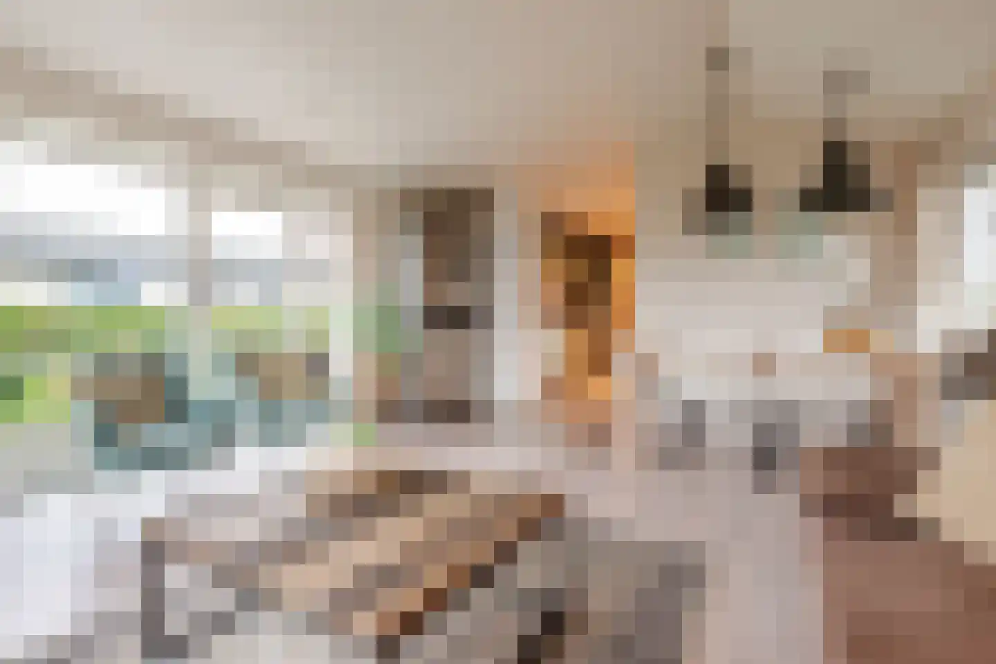 Driehuizerweg 8 286 Egmond aan den Hoef thumbnail 8