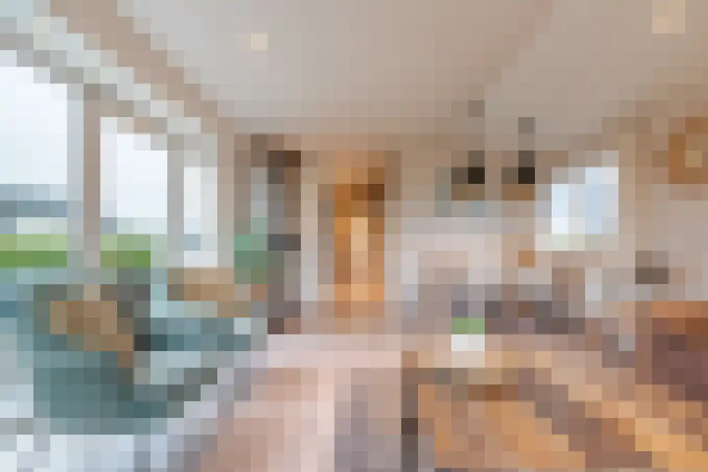 Driehuizerweg 8 286 Egmond aan den Hoef thumbnail 9