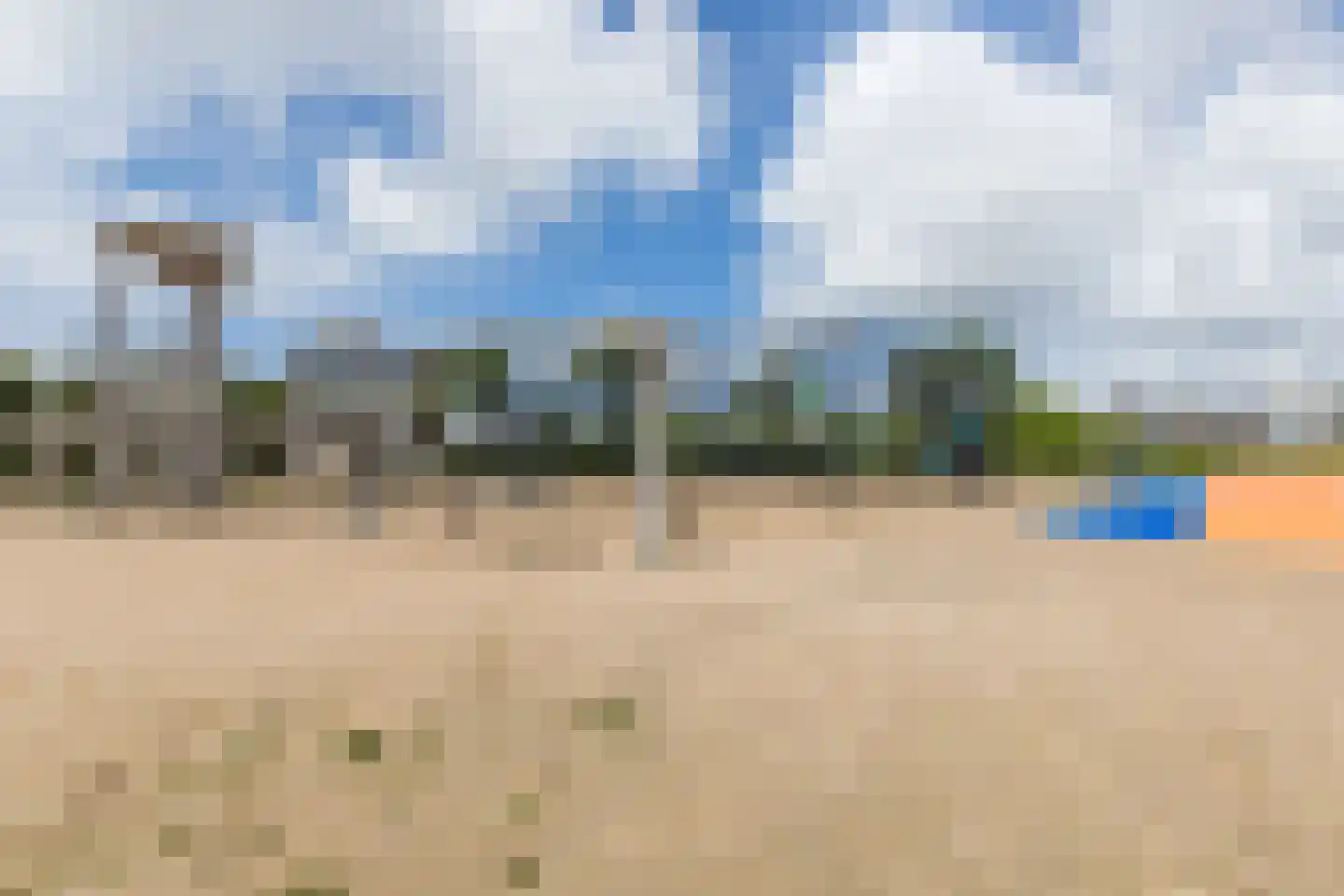 Driehuizerweg 8 294 Egmond aan den Hoef thumbnail 32